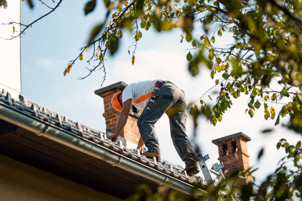 Best Commercial Roofing Services  in Hilbert, WI