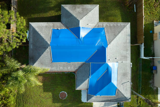 Best Roof Coating and Sealing  in Hilbert, WI